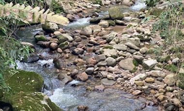 VENTA de FINCAS en SILVANIA