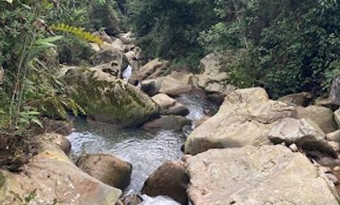 VENTA de FINCAS en SILVANIA