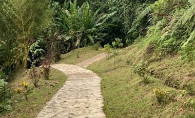 VENTA de FINCAS en SILVANIA