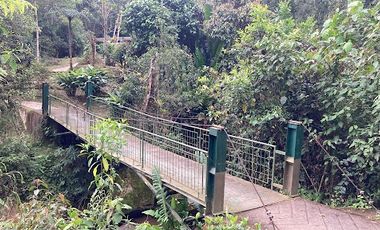 VENTA de FINCAS en SILVANIA