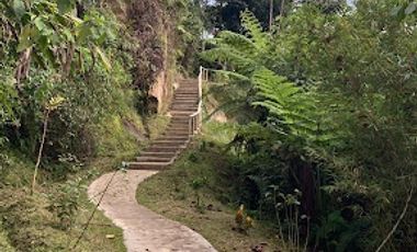 VENTA de FINCAS en SILVANIA