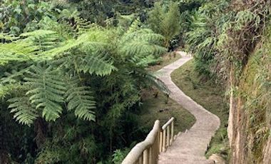 VENTA de FINCAS en SILVANIA