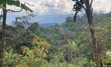 VENTA de FINCAS en SILVANIA