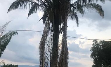 VENTA de FINCAS en MESITAS
