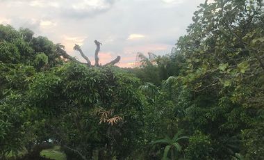 VENTA de FINCAS en MESITAS