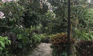 VENTA de FINCAS en MESITAS