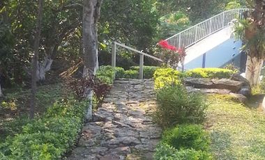 VENTA de FINCAS en MESITAS