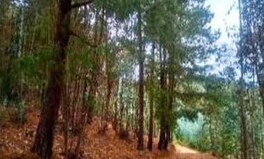 VENTA de LOTES en DUITAMA