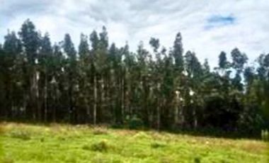 VENTA de LOTES en DUITAMA