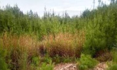 VENTA de LOTES en DUITAMA