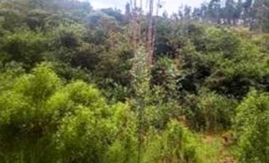 VENTA de LOTES en DUITAMA