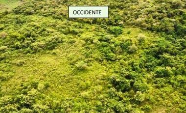VENTA de LOTES en GIRARDOT