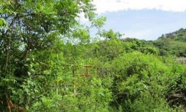 VENTA de LOTES en GIRARDOT