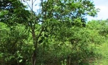 VENTA de LOTES en GIRARDOT