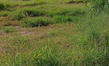 VENTA de LOTES en MESA DE LOS SANTOS