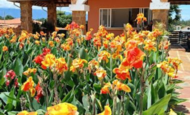 VENTA de LOTES en MESA DE LOS SANTOS