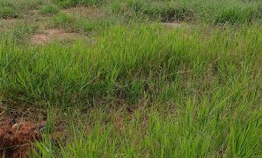 VENTA de LOTES en MESA DE LOS SANTOS