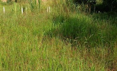 VENTA de LOTES en MESA DE LOS SANTOS