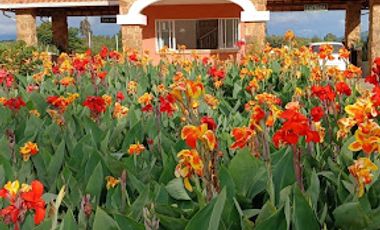 VENTA de LOTES en MESA DE LOS SANTOS