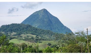 lotes Urbanizados en Condominio- Venecia-Antioquia