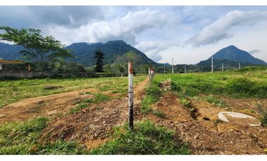 lotes Urbanizados en Condominio- Venecia-Antioquia