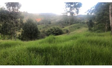 VENDO FINCA EN RIONEGRO SAN LUIS 45 CUADRAS X $ 90 MIL EL METRO CH