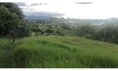 VENDO FINCA EN RIONEGRO SAN LUIS 45 CUADRAS X $ 90 MIL EL METRO CH