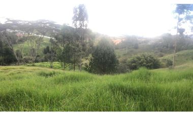 VENDO FINCA EN RIONEGRO SAN LUIS 45 CUADRAS X $ 90 MIL EL METRO CH