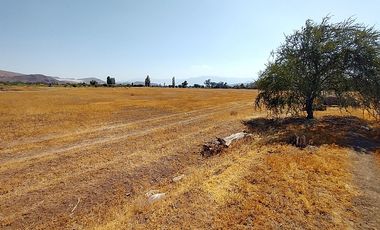PARCELAS 5.000 M2 SECTOR EL COLORADO, COLINA