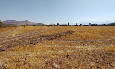 PARCELAS 5.000 M2 SECTOR EL COLORADO, COLINA