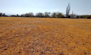 PARCELAS 5.000 M2 SECTOR EL COLORADO, COLINA