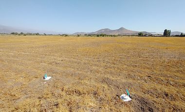 PARCELAS 5.000 M2 SECTOR EL COLORADO, COLINA
