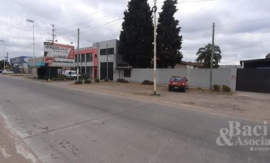 Galpón - Luis Guillon