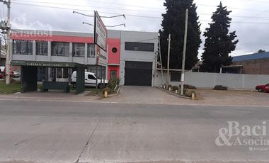 Galpón - Luis Guillon