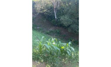Vendo hermosa finca en Palmira Abajo a un súper precio! Negociable