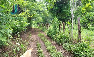 VENDO LOTE DE 9525MTS DIVALA