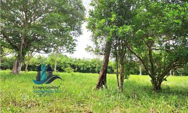 VENDO LOTE DE 9525MTS DIVALA