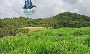 VENDO FINCA DE 5OHECTAREAS SEMIONDULADA A 1288 M.S.N.M.