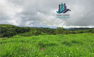 VENDO FINCA DE 5OHECTAREAS SEMIONDULADA A 1288 M.S.N.M.