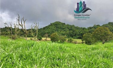 VENDO FINCA DE 5OHECTAREAS SEMIONDULADA A 1288 M.S.N.M.