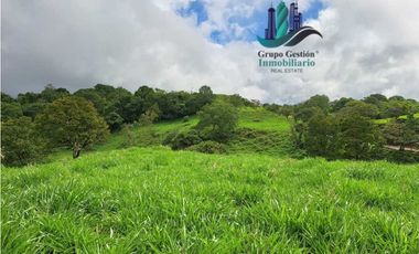 VENDO FINCA DE 5OHECTAREAS SEMIONDULADA A 1288 M.S.N.M.