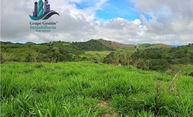 VENDO FINCA DE 5OHECTAREAS SEMIONDULADA A 1288 M.S.N.M.