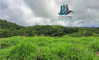VENDO FINCA DE 5OHECTAREAS SEMIONDULADA A 1288 M.S.N.M.