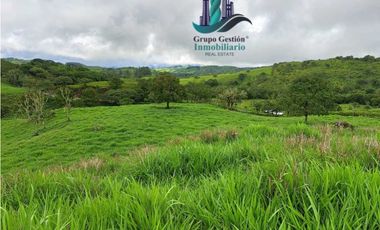 VENDO FINCA DE 5OHECTAREAS SEMIONDULADA A 1288 M.S.N.M.