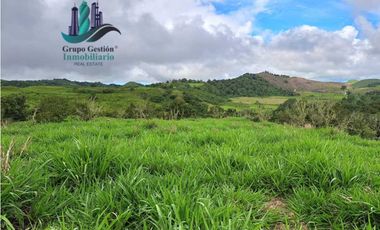 VENDO FINCA DE 5OHECTAREAS SEMIONDULADA A 1288 M.S.N.M.