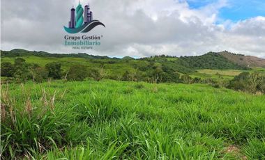 VENDO FINCA DE 5OHECTAREAS SEMIONDULADA A 1288 M.S.N.M.