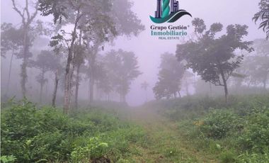 VENDO FINCA DE 51HECTAREA A 1500 M.S.N.M.