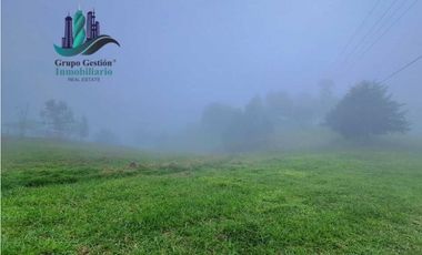 VENDO FINCA DE 51HECTAREA A 1500 M.S.N.M.