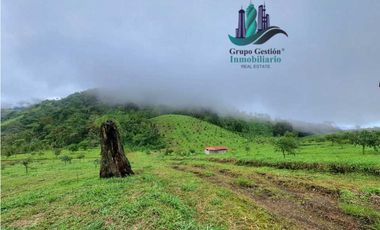 VENDO FINCA DE 51HECTAREA A 1500 M.S.N.M.