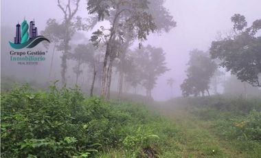 VENDO FINCA DE 51HECTAREA A 1500 M.S.N.M.